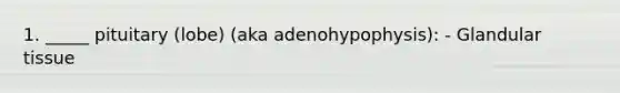 1. _____ pituitary (lobe) (aka adenohypophysis): - Glandular tissue