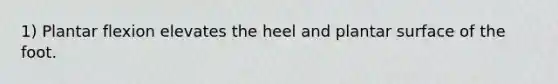 1) Plantar flexion elevates the heel and plantar surface of the foot.