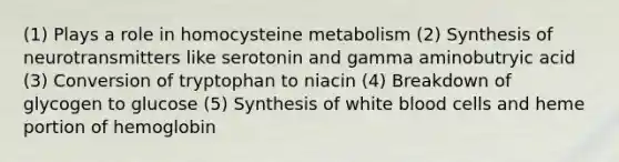 (1) Plays a role in homocysteine metabolism (2) Synthesis of neurotransmitters like serotonin and gamma aminobutryic acid (3) Conversion of tryptophan to niacin (4) Breakdown of glycogen to glucose (5) Synthesis of white blood cells and heme portion of hemoglobin