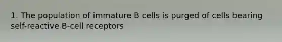 1. The population of immature B cells is purged of cells bearing self-reactive B-cell receptors