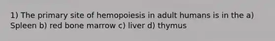 1) The primary site of hemopoiesis in adult humans is in the a) Spleen b) red bone marrow c) liver d) thymus