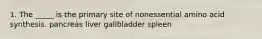 1. The _____ is the primary site of nonessential amino acid synthesis. pancreas liver gallbladder spleen