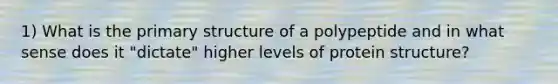 1) What is the primary structure of a polypeptide and in what sense does it "dictate" higher levels of protein structure?