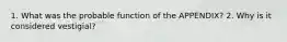 1. What was the probable function of the APPENDIX? 2. Why is it considered vestigial?