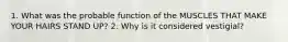 1. What was the probable function of the MUSCLES THAT MAKE YOUR HAIRS STAND UP? 2. Why is it considered vestigial?