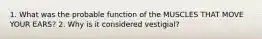 1. What was the probable function of the MUSCLES THAT MOVE YOUR EARS? 2. Why is it considered vestigial?