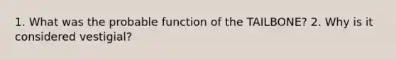 1. What was the probable function of the TAILBONE? 2. Why is it considered vestigial?