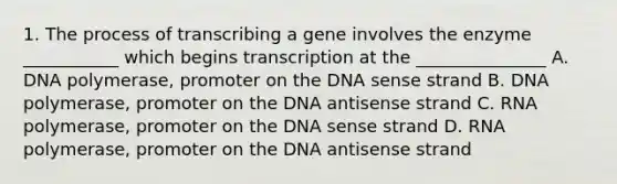 1. The process of transcribing a gene involves the enzyme ___________ which begins transcription at the _______________ A. DNA polymerase, promoter on the DNA sense strand B. DNA polymerase, promoter on the DNA antisense strand C. RNA polymerase, promoter on the DNA sense strand D. RNA polymerase, promoter on the DNA antisense strand