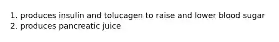 1. produces insulin and tolucagen to raise and lower blood sugar 2. produces pancreatic juice