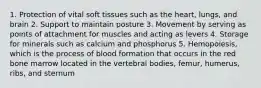 1. Protection of vital soft tissues such as the heart, lungs, and brain 2. Support to maintain posture 3. Movement by serving as points of attachment for muscles and acting as levers 4. Storage for minerals such as calcium and phosphorus 5. Hemopoiesis, which is the process of blood formation that occurs in the red bone marrow located in the vertebral bodies, femur, humerus, ribs, and sternum