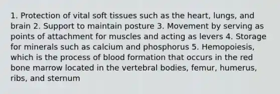 1. Protection of vital soft tissues such as the heart, lungs, and brain 2. Support to maintain posture 3. Movement by serving as points of attachment for muscles and acting as levers 4. Storage for minerals such as calcium and phosphorus 5. Hemopoiesis, which is the process of blood formation that occurs in the red bone marrow located in the vertebral bodies, femur, humerus, ribs, and sternum