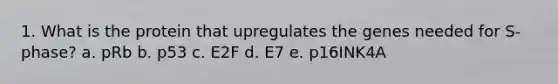 1. What is the protein that upregulates the genes needed for S-phase? a. pRb b. p53 c. E2F d. E7 e. p16INK4A