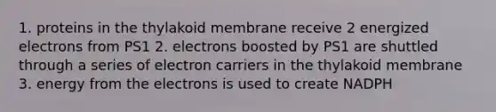 1. proteins in the thylakoid membrane receive 2 energized electrons from PS1 2. electrons boosted by PS1 are shuttled through a series of electron carriers in the thylakoid membrane 3. energy from the electrons is used to create NADPH