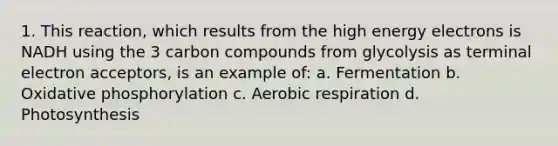 1. This reaction, which results from the high energy electrons is NADH using the 3 carbon compounds from glycolysis as terminal electron acceptors, is an example of: a. Fermentation b. <a href='https://www.questionai.com/knowledge/kFazUb9IwO-oxidative-phosphorylation' class='anchor-knowledge'>oxidative phosphorylation</a> c. <a href='https://www.questionai.com/knowledge/kyxGdbadrV-aerobic-respiration' class='anchor-knowledge'>aerobic respiration</a> d. Photosynthesis