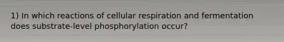 1) In which reactions of cellular respiration and fermentation does substrate-level phosphorylation occur?