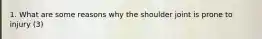 1. What are some reasons why the shoulder joint is prone to injury (3)