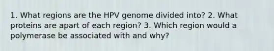 1. What regions are the HPV genome divided into? 2. What proteins are apart of each region? 3. Which region would a polymerase be associated with and why?