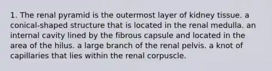 1. The renal pyramid is the outermost layer of kidney tissue. a conical-shaped structure that is located in the renal medulla. an internal cavity lined by the fibrous capsule and located in the area of the hilus. a large branch of the renal pelvis. a knot of capillaries that lies within the renal corpuscle.