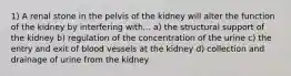 1) A renal stone in the pelvis of the kidney will alter the function of the kidney by interfering with... a) the structural support of the kidney b) regulation of the concentration of the urine c) the entry and exit of blood vessels at the kidney d) collection and drainage of urine from the kidney