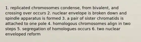 1. replicated chromosomes condense, from bivalent, and crossing over occurs 2. nuclear envelope is broken down and spindle apparatus is formed 3. a pair of sister chromatids is attached to one pole 4. homologous chromosomes align in two steps 5. segregation of homologues occurs 6. two nuclear enveloped reform