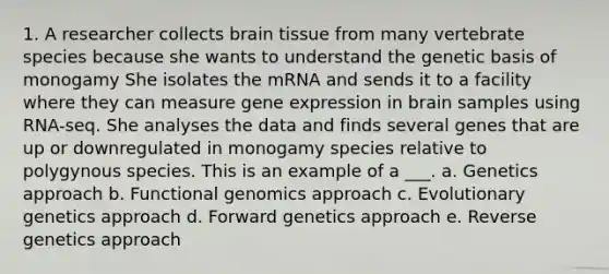 1. A researcher collects brain tissue from many vertebrate species because she wants to understand the genetic basis of monogamy She isolates the mRNA and sends it to a facility where they can measure <a href='https://www.questionai.com/knowledge/kFtiqWOIJT-gene-expression' class='anchor-knowledge'>gene expression</a> in brain samples using RNA-seq. She analyses the data and finds several genes that are up or downregulated in monogamy species relative to polygynous species. This is an example of a ___. a. Genetics approach b. Functional genomics approach c. Evolutionary genetics approach d. Forward genetics approach e. Reverse genetics approach