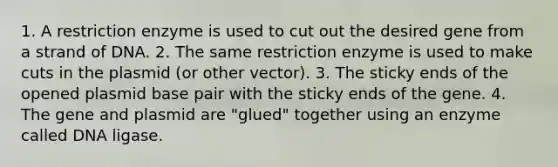 1. A restriction enzyme is used to cut out the desired gene from a strand of DNA. 2. The same restriction enzyme is used to make cuts in the plasmid (or other vector). 3. The sticky ends of the opened plasmid base pair with the sticky ends of the gene. 4. The gene and plasmid are "glued" together using an enzyme called DNA ligase.