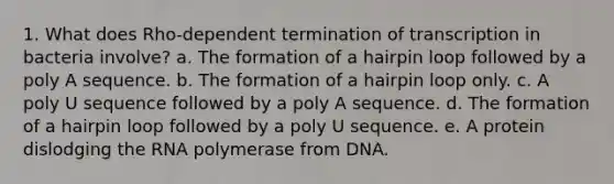 1. What does Rho-dependent termination of transcription in bacteria involve? a. The formation of a hairpin loop followed by a poly A sequence. b. The formation of a hairpin loop only. c. A poly U sequence followed by a poly A sequence. d. The formation of a hairpin loop followed by a poly U sequence. e. A protein dislodging the RNA polymerase from DNA.