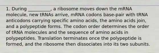 1. During __________, a ribosome moves down the mRNA molecule, new tRNAs arrive, mRNA codons base-pair with tRNA anticodons carrying specific amino acids, the amino acids join, and a polypeptide forms. The codon order determines the order of tRNA molecules and the sequence of amino acids in polypeptides. Translation terminates once the polypeptide is formed, and the ribosome then dissociates into its two subunits.