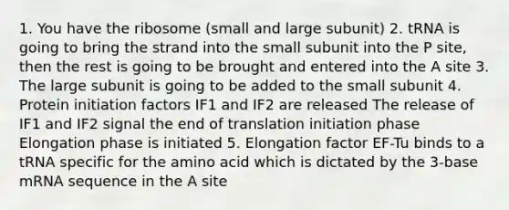 1. You have the ribosome (small and large subunit) 2. tRNA is going to bring the strand into the small subunit into the P site, then the rest is going to be brought and entered into the A site 3. The large subunit is going to be added to the small subunit 4. Protein initiation factors IF1 and IF2 are released The release of IF1 and IF2 signal the end of translation initiation phase Elongation phase is initiated 5. Elongation factor EF-Tu binds to a tRNA specific for the amino acid which is dictated by the 3-base mRNA sequence in the A site