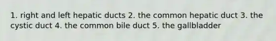 1. right and left hepatic ducts 2. the common hepatic duct 3. the cystic duct 4. the common bile duct 5. the gallbladder