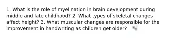 1. What is the role of myelination in brain development during middle and late childhood? 2. What types of skeletal changes affect height? 3. What muscular changes are responsible for the improvement in handwriting as children get older?