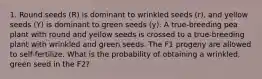 1. Round seeds (R) is dominant to wrinkled seeds (r), and yellow seeds (Y) is dominant to green seeds (y). A true-breeding pea plant with round and yellow seeds is crossed to a true-breeding plant with wrinkled and green seeds. The F1 progeny are allowed to self-fertilize. What is the probability of obtaining a wrinkled, green seed in the F2?