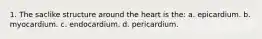 1. The saclike structure around the heart is the: a. epicardium. b. myocardium. c. endocardium. d. pericardium.