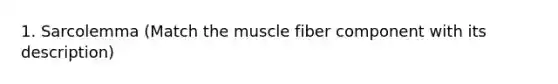 1. Sarcolemma (Match the muscle fiber component with its description)