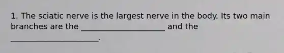 1. The sciatic nerve is the largest nerve in the body. Its two main branches are the _____________________ and the ______________________.