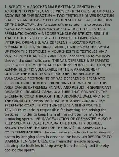 1. SCROTUM = ANOTHER MALE EXTERNAL GENITALIA (IN ADDITION TO PENIS) , CAN BE VIEWED FROM OUTSIDE OF MALES BODY INSIDE THE SCROTUM = TWO TESTICLES (GIVES SCROTUM SHAPE & CAN BE EASILY FELT WITHIN SCROTAL SAC) -FUNCTION OF THE SCROTUM: the function of the scrotum is to protect the testes from temperature fluctuations + HOLD THE TESTES A SPERMATIC CHORD = A LOOSE BUNDLE OF STRUCTURES!!!!!!! THAT EACH TESTICLE USES TO CONNECT TO IMPORTANT INTERNAL ORGANS B. VAS DEFERENS = LOCATED WITHIN SPERMATIC CORD/INGUINAL CANAL , CARRIES MATURE SPERM UP FROM THE TESTICLES + NOURISHES THE TESTICLES VIA A VAST SUPPLY OF ARTERIES AND VEINS connects up to the body through the spermatic cord, THE VAS DEFERENS & SPERMATIC CORD = PERFORM CRITICAL FUNCTIONS IN REPRODUCTION, YET REMAIN SLIGHTLY VULNERABLE IN THEIR ARRANGEMENT OUTSIDE THE BODY -TESTICULAR TORSION: BECAUSE OF VULNERABLE POSITIONING OF VAS DEFERENS & SPERMATIC CORD OUTSIDE OF BODY, CRUNCHING OR TWISTING OF THIS AREA CAN BE EXTREMELY PAINFUL AND RESULT IN SIGNIFICANT DAMAGE C. INGUINAL CANAL = A TUBE THAT CONNECTS THE SPERMATIC CORD THROUGH THE ABDOMINAL WALL AND INTO THE GROIN D. CREMASTER MUSCLE = WRAPS AROUND THE SPERMATIC CORD , IS POSITIONED LIKE A SLING FOR THE TESTICLES muscle is responsible for lowering and raising the testicles in order to keep them at the right temperature for producing sperm. -PRIMARY FUNCTION OF CREMASTER MUSCLE: KEEP SPERM AT IDEAL TEMPERATURE ((ABOUT 7 DEGREES BELOW THAT OF THE REST OF THE BODY)) -IN RESPONSE TO COLD TEMPERATURES: the cremaster muscle contracts, warming sperm by bringing them in closer to the body. -IN RESPONSE TO WARMER TEMPERATURES: the cremaster muscle relaxes, allowing the testicles to drop away from the body and thereby cooling the sperm.