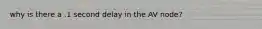 why is there a .1 second delay in the AV node?