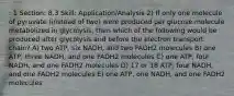 : 1 Section: 8.3 Skill: Application/Analysis 2) If only one molecule of pyruvate (instead of two) were produced per glucose molecule metabolized in glycolysis, then which of the following would be produced after glycolysis and before the electron transport chain? A) two ATP, six NADH, and two FADH2 molecules B) one ATP, three NADH, and one FADH2 molecules C) one ATP, four NADH, and one FADH2 molecules D) 17 or 18 ATP, four NADH, and one FADH2 molecules E) one ATP, one NADH, and one FADH2 molecules