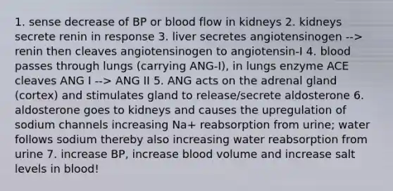 1. sense decrease of BP or blood flow in kidneys 2. kidneys secrete renin in response 3. liver secretes angiotensinogen --> renin then cleaves angiotensinogen to angiotensin-I 4. blood passes through lungs (carrying ANG-I), in lungs enzyme ACE cleaves ANG I --> ANG II 5. ANG acts on the adrenal gland (cortex) and stimulates gland to release/secrete aldosterone 6. aldosterone goes to kidneys and causes the upregulation of sodium channels increasing Na+ reabsorption from urine; water follows sodium thereby also increasing water reabsorption from urine 7. increase BP, increase blood volume and increase salt levels in blood!