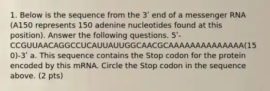 1. Below is the sequence from the 3ʹ end of a messenger RNA (A150 represents 150 adenine nucleotides found at this position). Answer the following questions. 5ʹ-CCGUUAACAGGCCUCAUUAUUGGCAACGCAAAAAAAAAAAAAA(150)-3ʹ a. This sequence contains the Stop codon for the protein encoded by this mRNA. Circle the Stop codon in the sequence above. (2 pts)