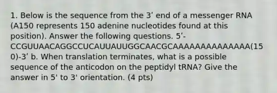 1. Below is the sequence from the 3ʹ end of a messenger RNA (A150 represents 150 adenine nucleotides found at this position). Answer the following questions. 5ʹ-CCGUUAACAGGCCUCAUUAUUGGCAACGCAAAAAAAAAAAAAA(150)-3ʹ b. When translation terminates, what is a possible sequence of the anticodon on the peptidyl tRNA? Give the answer in 5' to 3' orientation. (4 pts)