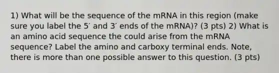 1) What will be the sequence of the mRNA in this region (make sure you label the 5′ and 3′ ends of the mRNA)? (3 pts) 2) What is an amino acid sequence the could arise from the mRNA sequence? Label the amino and carboxy terminal ends. Note, there is more than one possible answer to this question. (3 pts)