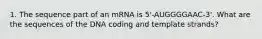 1. The sequence part of an mRNA is 5'-AUGGGGAAC-3'. What are the sequences of the DNA coding and template strands?