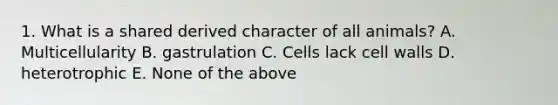 1. What is a shared derived character of all animals? A. Multicellularity B. gastrulation C. Cells lack cell walls D. heterotrophic E. None of the above