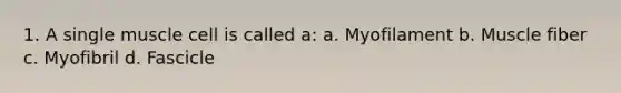 1. A single muscle cell is called a: a. Myofilament b. Muscle fiber c. Myofibril d. Fascicle