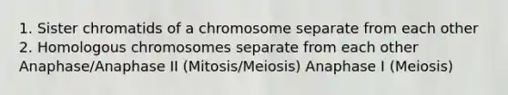 1. Sister chromatids of a chromosome separate from each other 2. Homologous chromosomes separate from each other Anaphase/Anaphase II (Mitosis/Meiosis) Anaphase I (Meiosis)