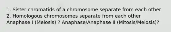 1. Sister chromatids of a chromosome separate from each other 2. Homologous chromosomes separate from each other Anaphase I (Meiosis) ? Anaphase/Anaphase II (Mitosis/Meiosis)?