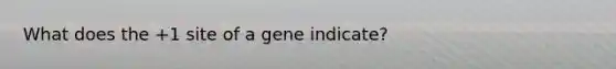 What does the +1 site of a gene indicate?