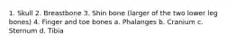 1. Skull 2. Breastbone 3. Shin bone (larger of the two lower leg bones) 4. Finger and toe bones a. Phalanges b. Cranium c. Sternum d. Tibia