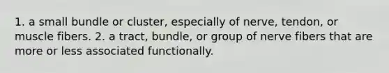 1. a small bundle or cluster, especially of nerve, tendon, or muscle fibers. 2. a tract, bundle, or group of nerve fibers that are more or less associated functionally.